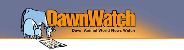 DawnWatch