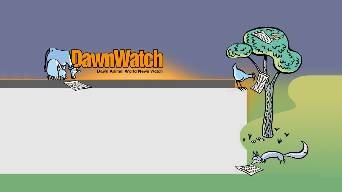 Dawn Hunter Pocket Watch | The Sea of Thieves Wiki